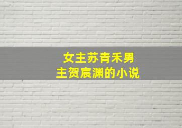 女主苏青禾男主贺宸渊的小说