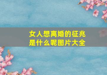 女人想离婚的征兆是什么呢图片大全