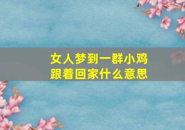 女人梦到一群小鸡跟着回家什么意思