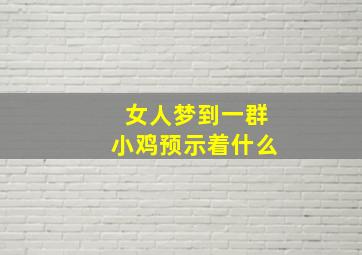 女人梦到一群小鸡预示着什么