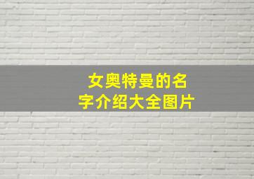 女奥特曼的名字介绍大全图片