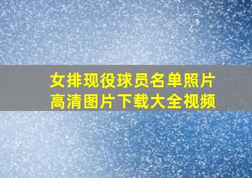 女排现役球员名单照片高清图片下载大全视频