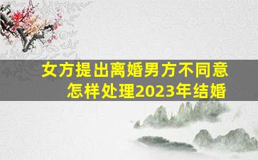 女方提出离婚男方不同意怎样处理2023年结婚