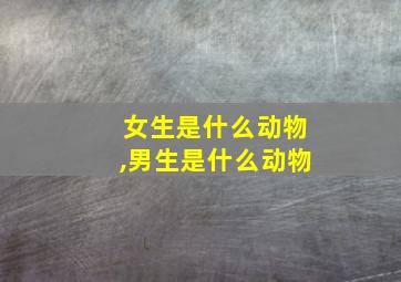 女生是什么动物,男生是什么动物