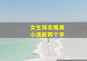 女生网名唯美小清新两个字