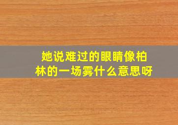 她说难过的眼睛像柏林的一场雾什么意思呀