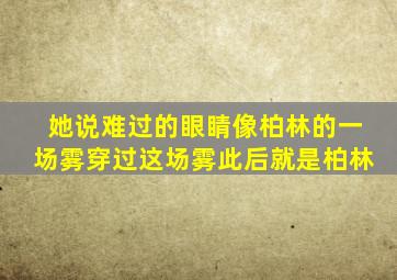 她说难过的眼睛像柏林的一场雾穿过这场雾此后就是柏林