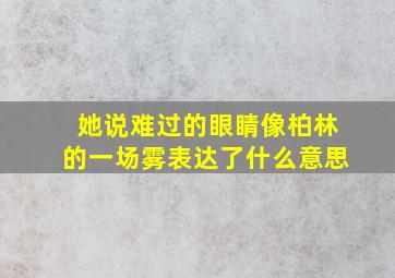 她说难过的眼睛像柏林的一场雾表达了什么意思