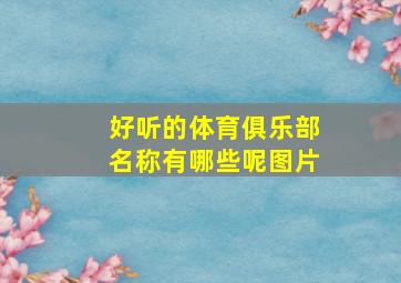 好听的体育俱乐部名称有哪些呢图片