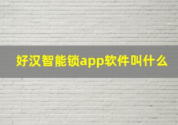 好汉智能锁app软件叫什么