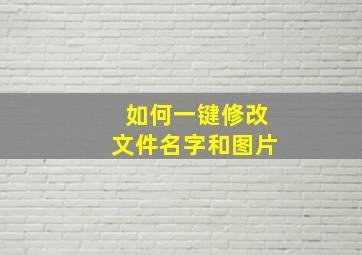 如何一键修改文件名字和图片