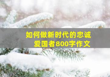 如何做新时代的忠诚爱国者800字作文