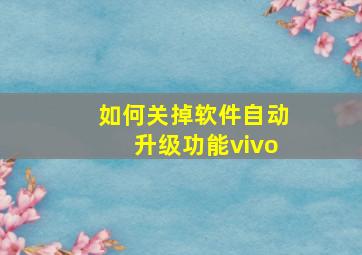 如何关掉软件自动升级功能vivo