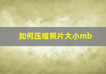 如何压缩照片大小mb