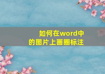 如何在word中的图片上画圈标注