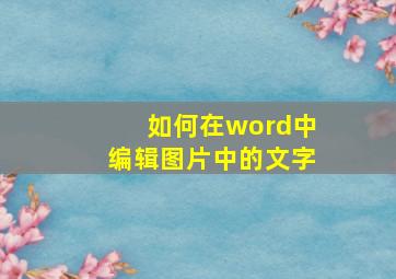 如何在word中编辑图片中的文字