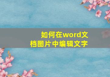 如何在word文档图片中编辑文字