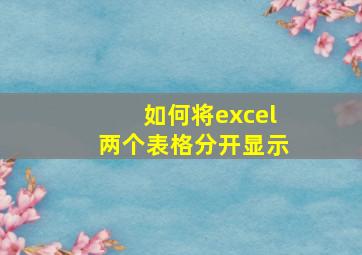 如何将excel两个表格分开显示