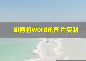 如何将word的图片复制