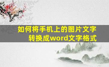 如何将手机上的图片文字转换成word文字格式