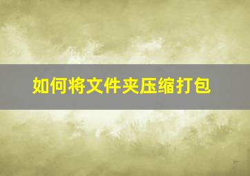 如何将文件夹压缩打包