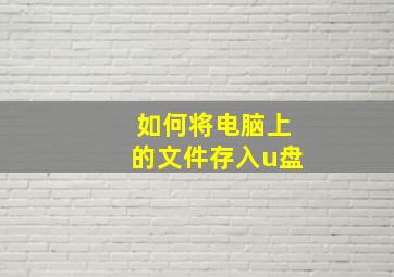 如何将电脑上的文件存入u盘