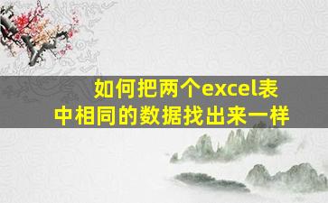 如何把两个excel表中相同的数据找出来一样