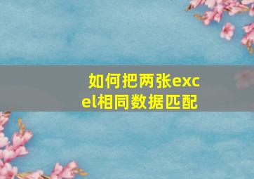 如何把两张excel相同数据匹配