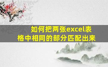 如何把两张excel表格中相同的部分匹配出来