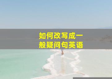 如何改写成一般疑问句英语