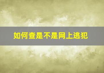 如何查是不是网上逃犯