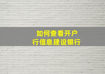 如何查看开户行信息建设银行