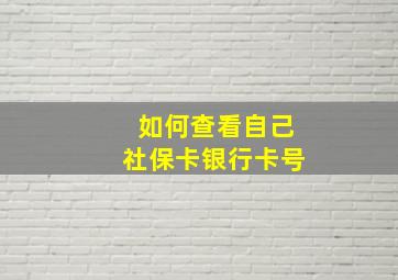 如何查看自己社保卡银行卡号