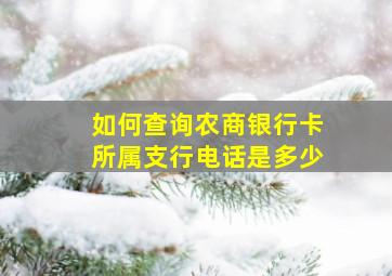 如何查询农商银行卡所属支行电话是多少