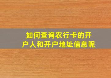 如何查询农行卡的开户人和开户地址信息呢