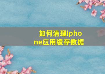 如何清理iphone应用缓存数据