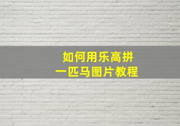 如何用乐高拼一匹马图片教程