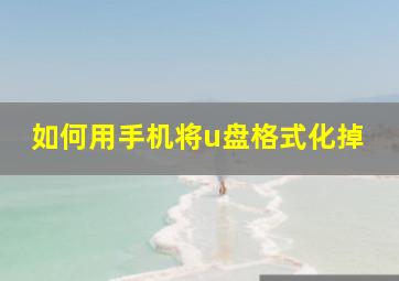 如何用手机将u盘格式化掉