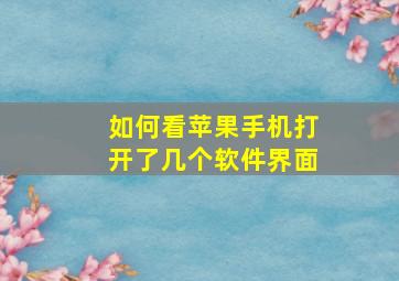 如何看苹果手机打开了几个软件界面