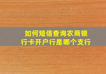 如何短信查询农商银行卡开户行是哪个支行