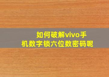 如何破解vivo手机数字锁六位数密码呢