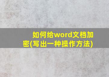 如何给word文档加密(写出一种操作方法)