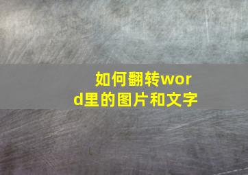 如何翻转word里的图片和文字