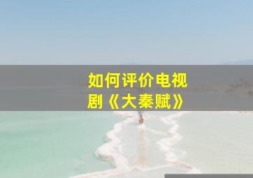 如何评价电视剧《大秦赋》