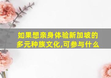 如果想亲身体验新加坡的多元种族文化,可参与什么