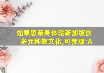 如果想亲身体验新加坡的多元种族文化,可参观:A