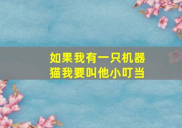 如果我有一只机器猫我要叫他小叮当