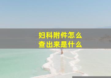 妇科附件怎么查出来是什么