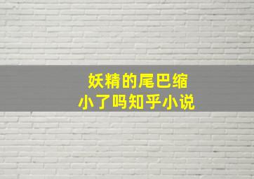 妖精的尾巴缩小了吗知乎小说