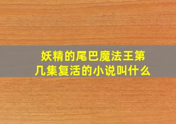 妖精的尾巴魔法王第几集复活的小说叫什么